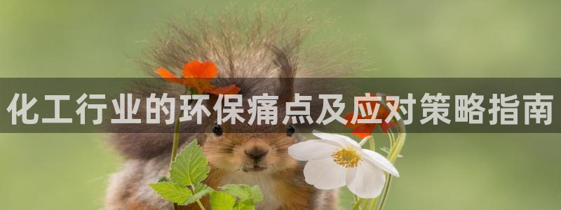 亿万手游平台官网下载:化工行业的环保痛点及应对策略指南